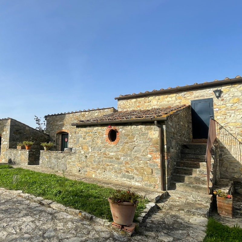 Untitled (800 x 900 px) (11)