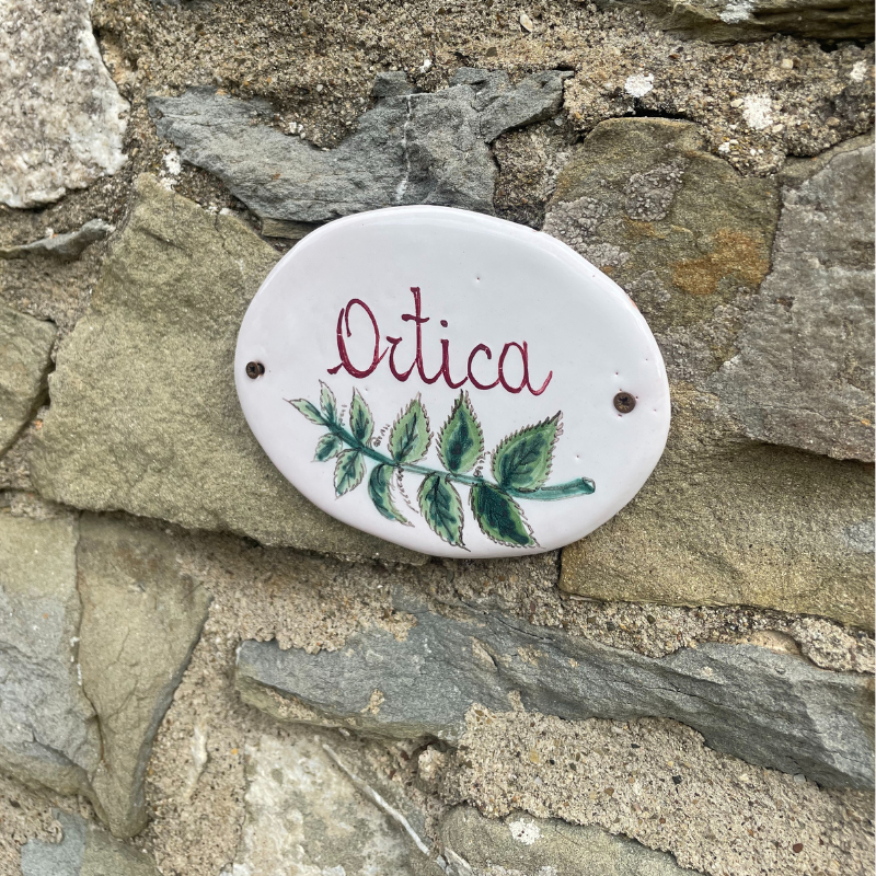 Untitled (800 x 900 px) (27)