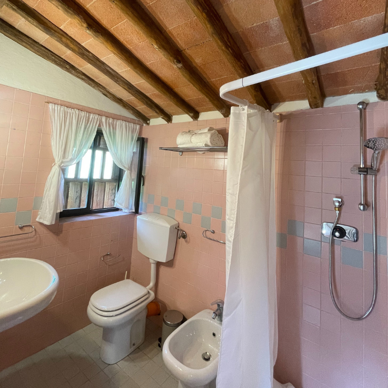 Untitled (800 x 900 px) (29)