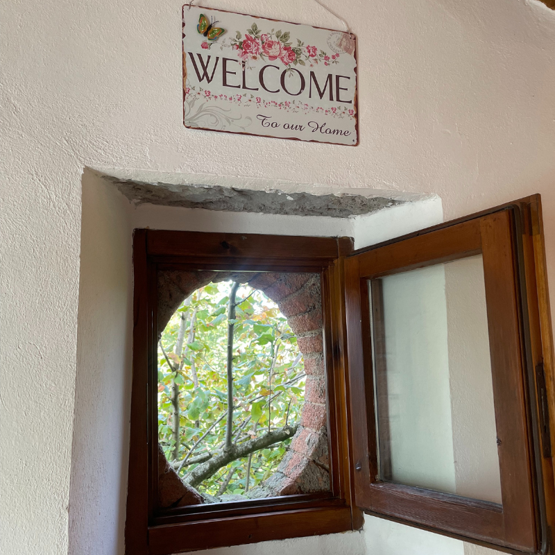 Untitled (800 x 900 px) (31)