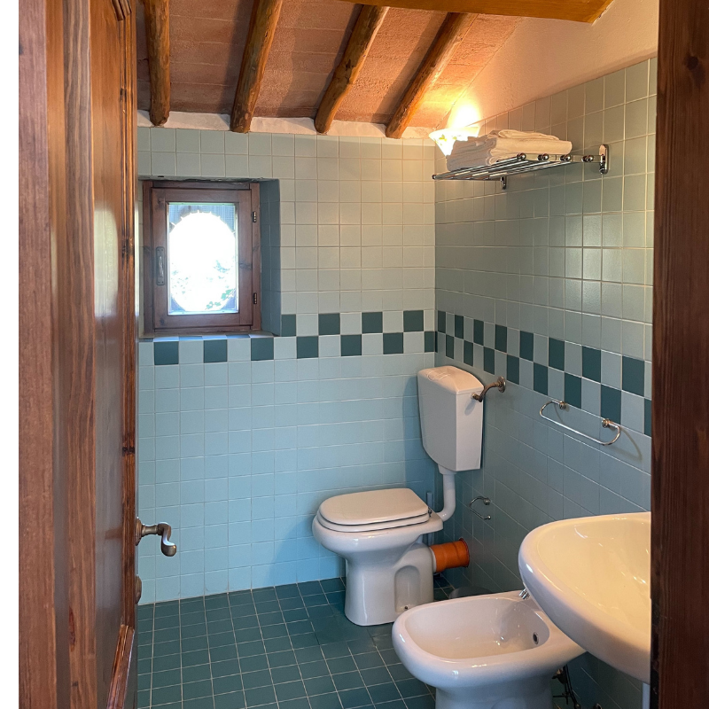 Untitled (800 x 900 px) (32)