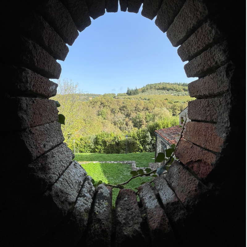 Untitled (800 x 900 px) (33)