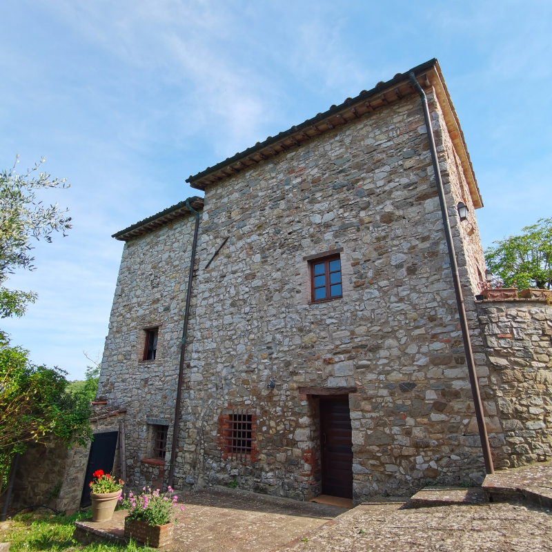 Untitled (800 x 900 px) (34)