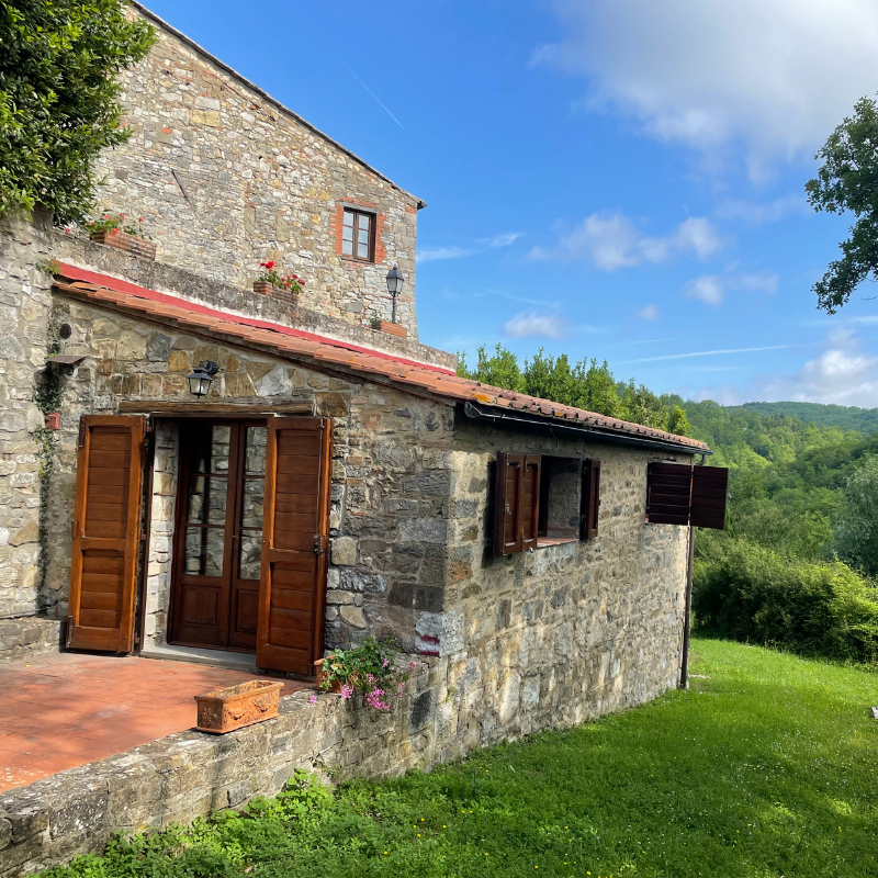 Untitled (800 x 900 px) (40)