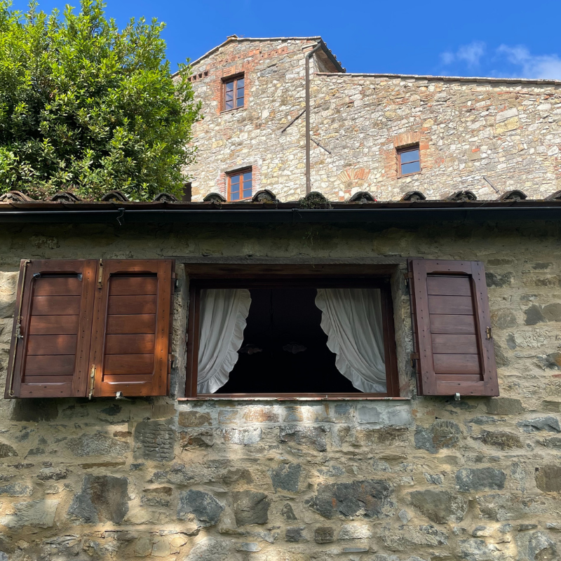 Untitled (800 x 900 px) (41)