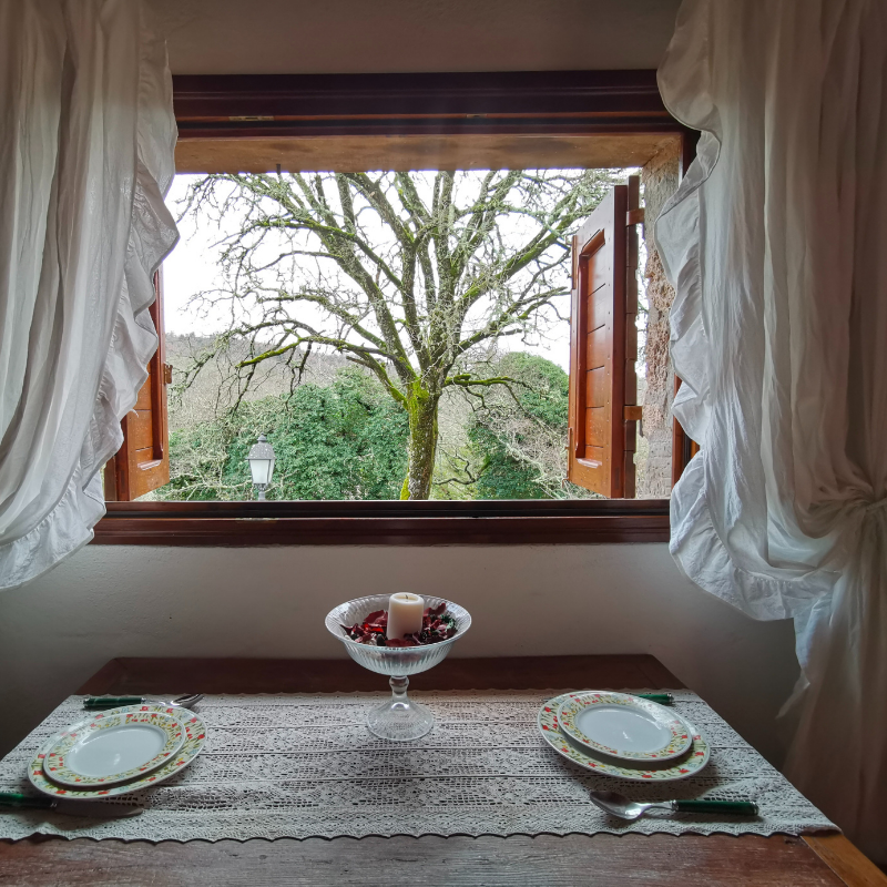 Untitled (800 x 900 px) (45)