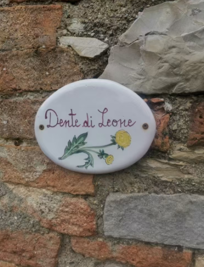 bed6c1cc-ded6-4622-ae6e-9842d4ca5d59